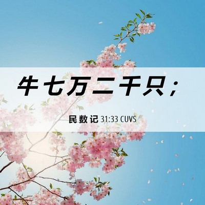 Picture 06 - 民 数 记 31:33 CUVS - 牛 七 万 二 千 只 - Bible Verse Picture