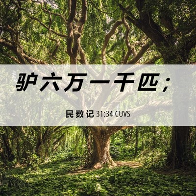 Picture 06 - 民 数 记 31:34 CUVS - 驴 六 万 一 千 匹 - Bible Verse Picture