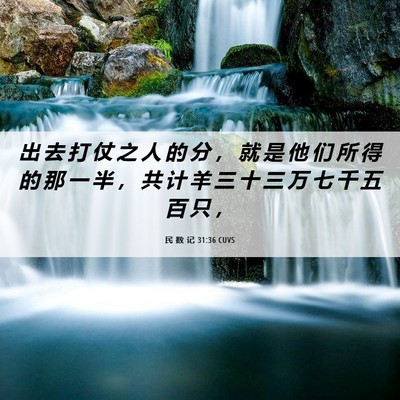 Picture 06 - 民 数 记 31:36 CUVS - 出 去 打 仗 之 人 的 分 ， 就 是 他 - Bible Verse Picture