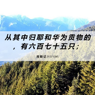 Picture 06 - 民 数 记 31:37 CUVS - 从 其 中 归 耶 和 华 为 贡 物 的 ， - Bible Verse Picture