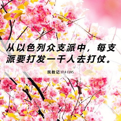 Picture 06 - 民 数 记 31:4 CUVS - 从 以 色 列 众 支 派 中 ， 每 支 派 - Bible Verse Picture