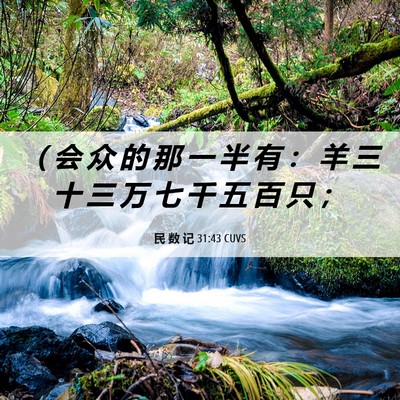 Picture 06 - 民 数 记 31:43 CUVS - （ 会 众 的 那 一 半 有 ： 羊 三 十 - Bible Verse Picture