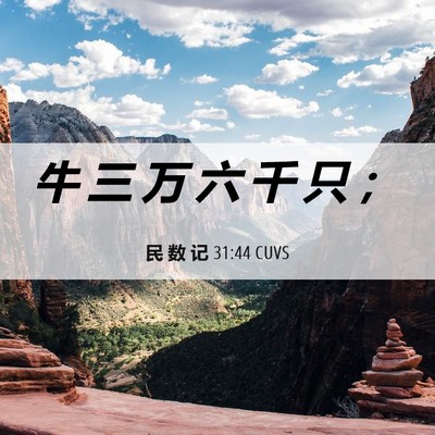 Picture 06 - 民 数 记 31:44 CUVS - 牛 三 万 六 千 只 - Bible Verse Picture