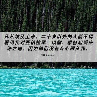 Picture 06 - 民 数 记 32:11 CUVS - 凡 从 埃 及 上 来 、 二 十 岁 以 外 - Bible Verse Picture
