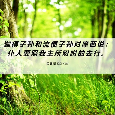 Picture 06 - 民 数 记 32:25 CUVS - 迦 得 子 孙 和 流 便 子 孙 对 摩 西 - Bible Verse Picture