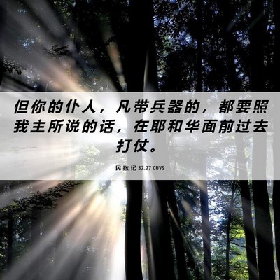 Picture 06 - 民 数 记 32:27 CUVS - 但 你 的 仆 人 ， 凡 带 兵 器 的 ， - Bible Verse Picture