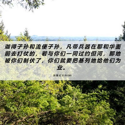 Picture 06 - 民 数 记 32:29 CUVS - 迦 得 子 孙 和 流 便 子 孙 ， 凡 带 - Bible Verse Picture