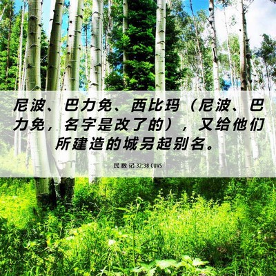 Picture 06 - 民 数 记 32:38 CUVS - 尼 波 、 巴 力 免 、 西 比 玛 （ 尼 - Bible Verse Picture