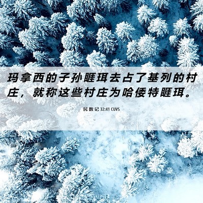 Picture 06 - 民 数 记 32:41 CUVS - 玛 拿 西 的 子 孙 睚 珥 去 占 了 基 - Bible Verse Picture