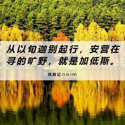 Picture 06 - 民 数 记 33:36 CUVS - 从 以 旬 迦 别 起 行 ， 安 营 在 寻 - Bible Verse Picture