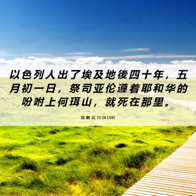 Picture 06 - 民 数 记 33:38 CUVS - 以 色 列 人 出 了 埃 及 地 後 四 十 - Bible Verse Picture