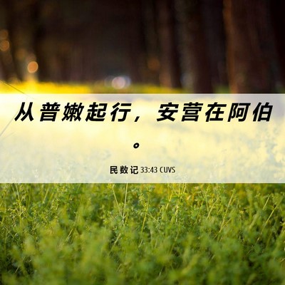Picture 06 - 民 数 记 33:43 CUVS - 从 普 嫩 起 行 ， 安 营 在 阿 伯 - Bible Verse Picture