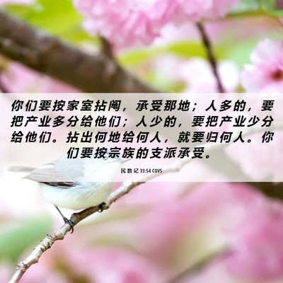 Picture 06 - 民 数 记 33:54 CUVS - 你 们 要 按 家 室 拈 阄 ， 承 受 那 - Bible Verse Picture