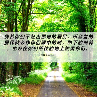 Picture 06 - 民 数 记 33:55 CUVS - 倘 若 你 们 不 赶 出 那 地 的 居 民 - Bible Verse Picture