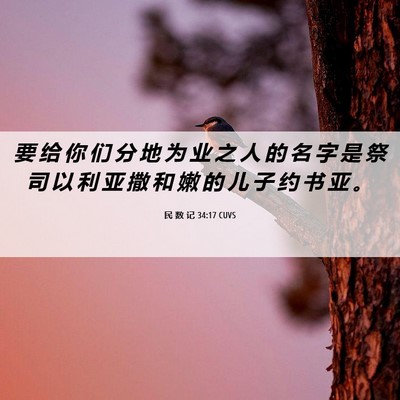 Picture 06 - 民 数 记 34:17 CUVS - 要 给 你 们 分 地 为 业 之 人 的 名 - Bible Verse Picture
