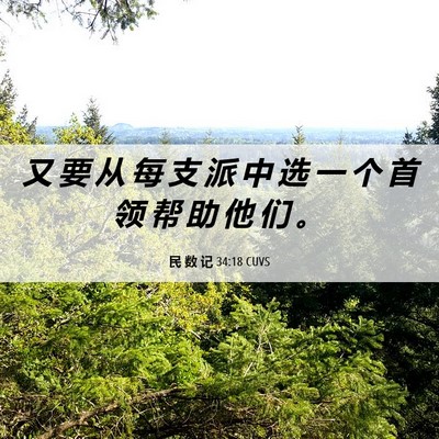 Picture 06 - 民 数 记 34:18 CUVS - 又 要 从 每 支 派 中 选 一 个 首 领 - Bible Verse Picture