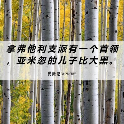 Picture 06 - 民 数 记 34:28 CUVS - 拿 弗 他 利 支 派 有 一 个 首 领 ， - Bible Verse Picture