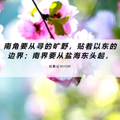 Picture 06 - 民 数 记 34:3 CUVS - 南 角 要 从 寻 的 旷 野 ， 贴 着 以 - Bible Verse Picture