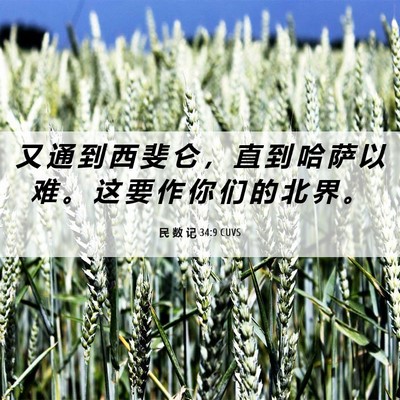 Picture 06 - 民 数 记 34:9 CUVS - 又 通 到 西 斐 仑 ， 直 到 哈 萨 以 - Bible Verse Picture