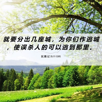 Picture 06 - 民 数 记 35:11 CUVS - 就 要 分 出 几 座 城 ， 为 你 们 作 - Bible Verse Picture