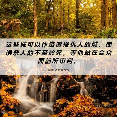 Picture 06 - 民 数 记 35:12 CUVS - 这 些 城 可 以 作 逃 避 报 仇 人 的 - Bible Verse Picture