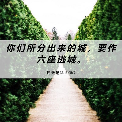 Picture 06 - 民 数 记 35:13 CUVS - 你 们 所 分 出 来 的 城 ， 要 作 六 - Bible Verse Picture
