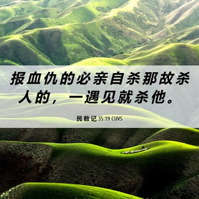Picture 06 - 民 数 记 35:19 CUVS - 报 血 仇 的 必 亲 自 杀 那 故 杀 人 - Bible Verse Picture