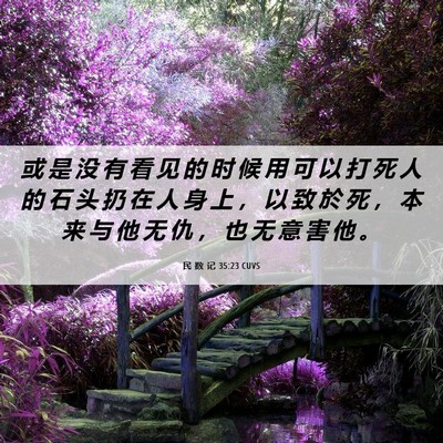 Picture 06 - 民 数 记 35:23 CUVS - 或 是 没 有 看 见 的 时 候 用 可 以 - Bible Verse Picture