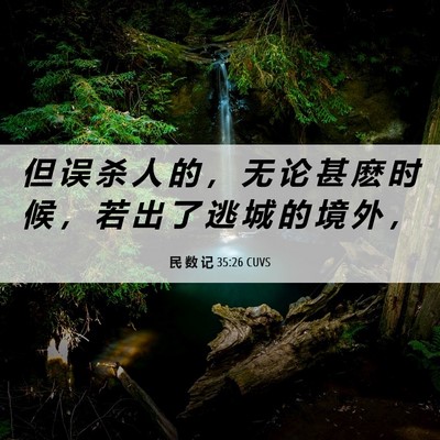 Picture 06 - 民 数 记 35:26 CUVS - 但 误 杀 人 的 ， 无 论 甚 麽 时 候 - Bible Verse Picture