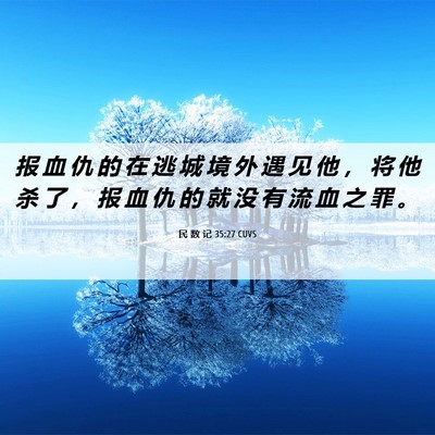 Picture 06 - 民 数 记 35:27 CUVS - 报 血 仇 的 在 逃 城 境 外 遇 见 他 - Bible Verse Picture