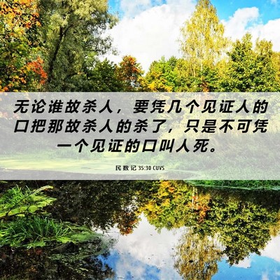 Picture 06 - 民 数 记 35:30 CUVS - 无 论 谁 故 杀 人 ， 要 凭 几 个 见 - Bible Verse Picture