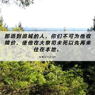 Picture 06 - 民 数 记 35:32 CUVS - 那 逃 到 逃 城 的 人 ， 你 们 不 可 - Bible Verse Picture