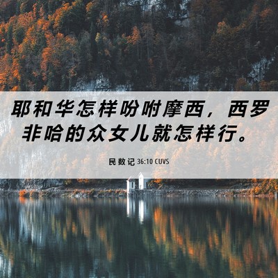 Picture 06 - 民 数 记 36:10 CUVS - 耶 和 华 怎 样 吩 咐 摩 西 ， 西 罗 - Bible Verse Picture