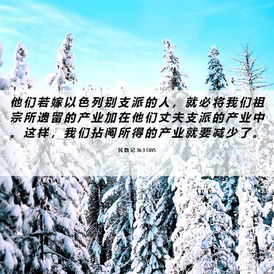 Picture 06 - 民 数 记 36:3 CUVS - 他 们 若 嫁 以 色 列 别 支 派 的 人 - Bible Verse Picture