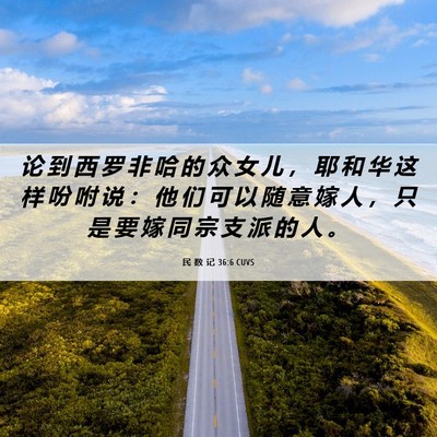 Picture 06 - 民 数 记 36:6 CUVS - 论 到 西 罗 非 哈 的 众 女 儿 ， 耶 - Bible Verse Picture