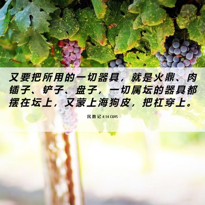 Picture 06 - 民 数 记 4:14 CUVS - 又 要 把 所 用 的 一 切 器 具 ， 就 - Bible Verse Picture