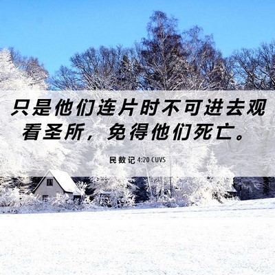Picture 06 - 民 数 记 4:20 CUVS - 只 是 他 们 连 片 时 不 可 进 去 观 - Bible Verse Picture