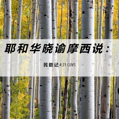 Picture 06 - 民 数 记 4:21 CUVS - 耶 和 华 晓 谕 摩 西 说 - Bible Verse Picture