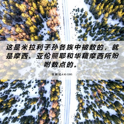 Picture 06 - 民 数 记 4:45 CUVS - 这 是 米 拉 利 子 孙 各 族 中 被 数 - Bible Verse Picture