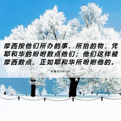 Picture 06 - 民 数 记 4:49 CUVS - 摩 西 按 他 们 所 办 的 事 、 所 抬 - Bible Verse Picture