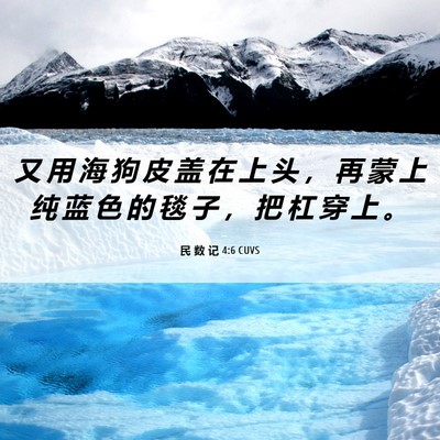 Picture 06 - 民 数 记 4:6 CUVS - 又 用 海 狗 皮 盖 在 上 头 ， 再 蒙 - Bible Verse Picture