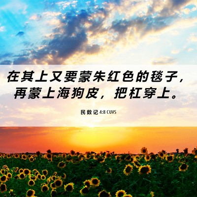 Picture 06 - 民 数 记 4:8 CUVS - 在 其 上 又 要 蒙 朱 红 色 的 毯 子 - Bible Verse Picture