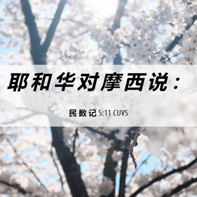 Picture 06 - 民 数 记 5:11 CUVS - 耶 和 华 对 摩 西 说 - Bible Verse Picture