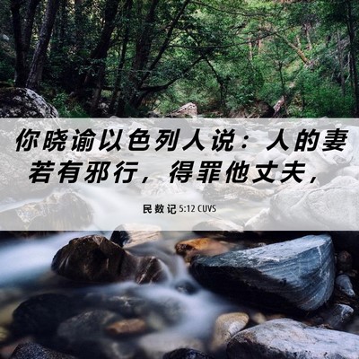 Picture 06 - 民 数 记 5:12 CUVS - 你 晓 谕 以 色 列 人 说 ： 人 的 妻 - Bible Verse Picture