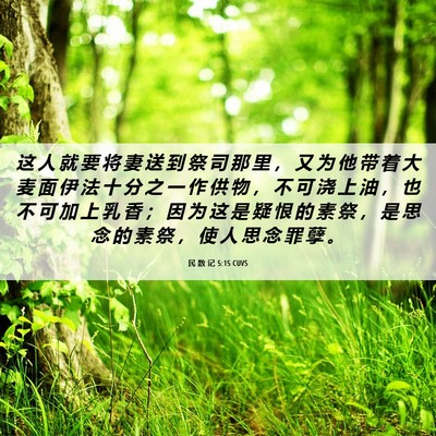Picture 06 - 民 数 记 5:15 CUVS - 这 人 就 要 将 妻 送 到 祭 司 那 里 - Bible Verse Picture