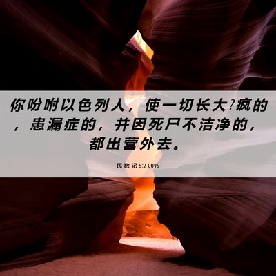 Picture 06 - 民 数 记 5:2 CUVS - 你 吩 咐 以 色 列 人 ， 使 一 切 长 - Bible Verse Picture