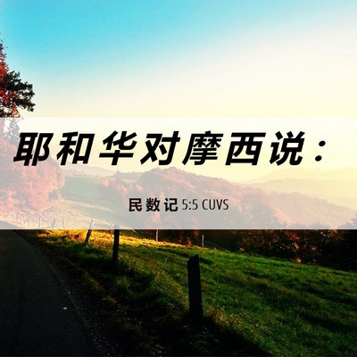 Picture 06 - 民 数 记 5:5 CUVS - 耶 和 华 对 摩 西 说 - Bible Verse Picture