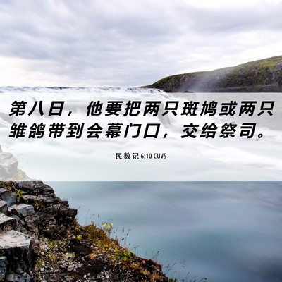 Picture 06 - 民 数 记 6:10 CUVS - 第 八 日 ， 他 要 把 两 只 斑 鸠 或 - Bible Verse Picture