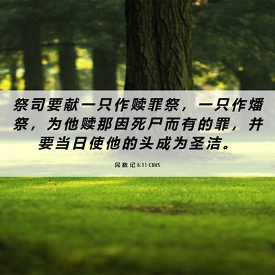 Picture 06 - 民 数 记 6:11 CUVS - 祭 司 要 献 一 只 作 赎 罪 祭 ， 一 - Bible Verse Picture