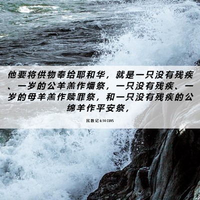 Picture 06 - 民 数 记 6:14 CUVS - 他 要 将 供 物 奉 给 耶 和 华 ， 就 - Bible Verse Picture